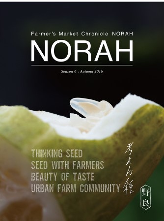 Norah, Season 6: Thinking Seed