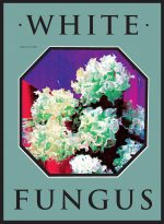 White Fungus, Issue 16