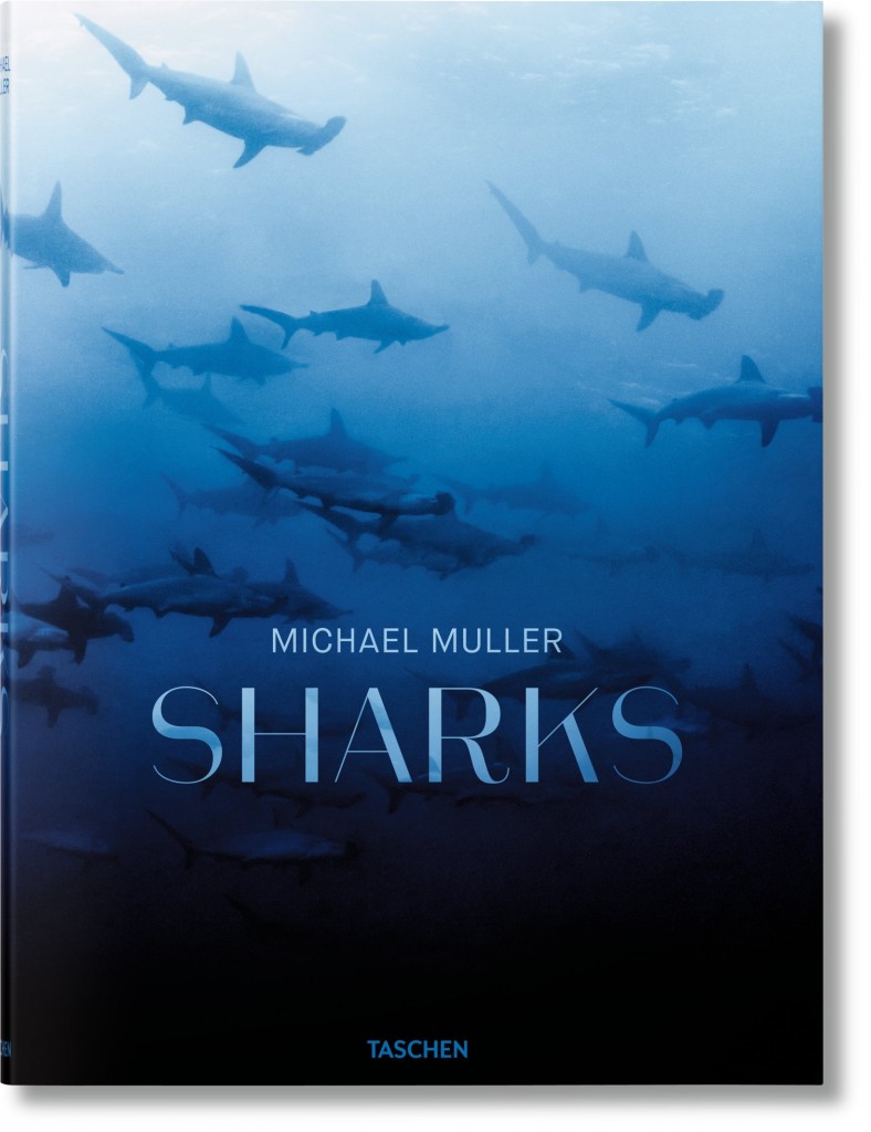 Sharks: Face-to-Face with the Ocean’s Endangered Predator