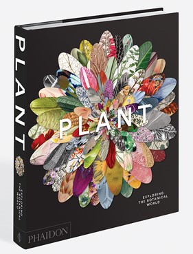 Plant: Exploring the Botanical World