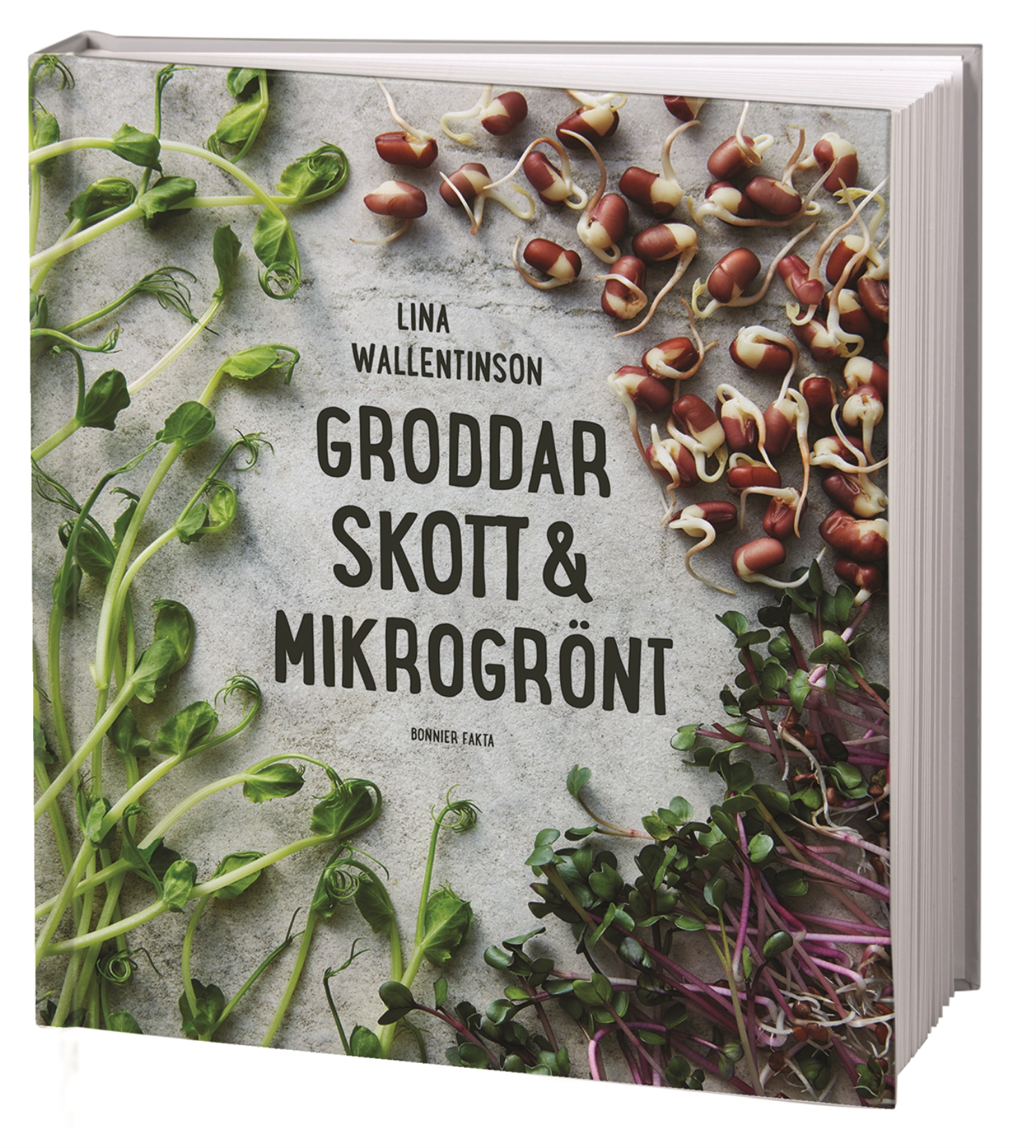 Groddar, skott & mikrogrönt