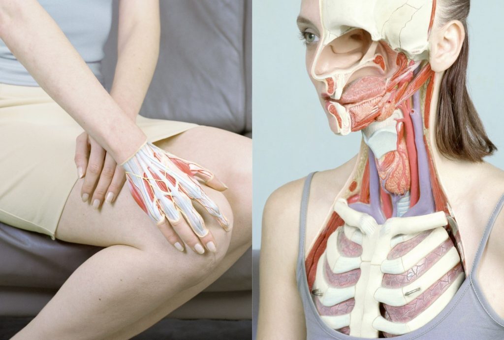 Look Inside: Cutaway Illustrations and Visual Storytelling