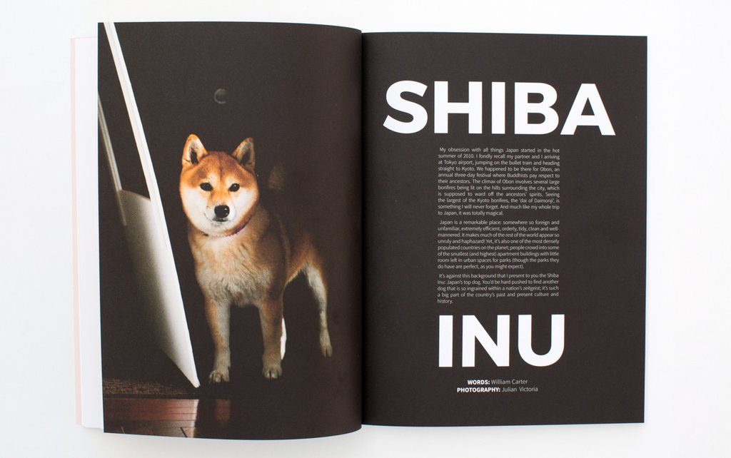 Dog, Issue 2