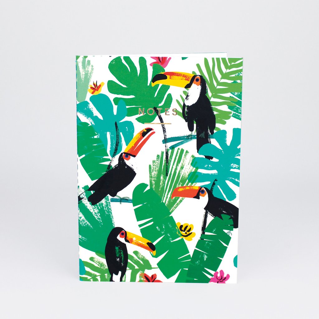 Toucans Notebook Notebook (Medium)