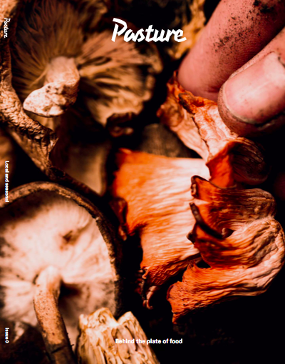 Pasture, Issue 0