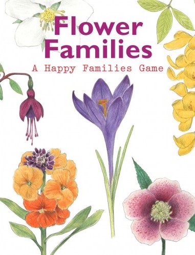 Flower Families: A Happy Families Game