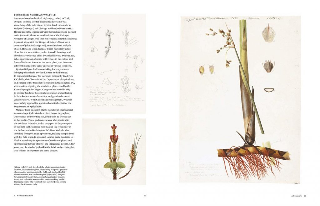 Botanical Sketchbooks