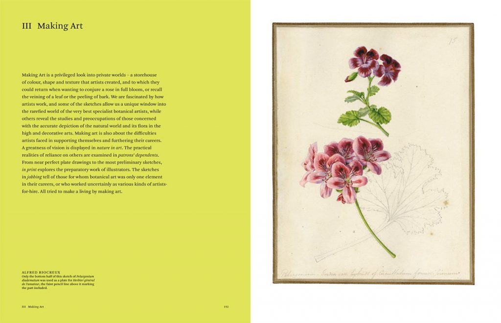 Botanical Sketchbooks