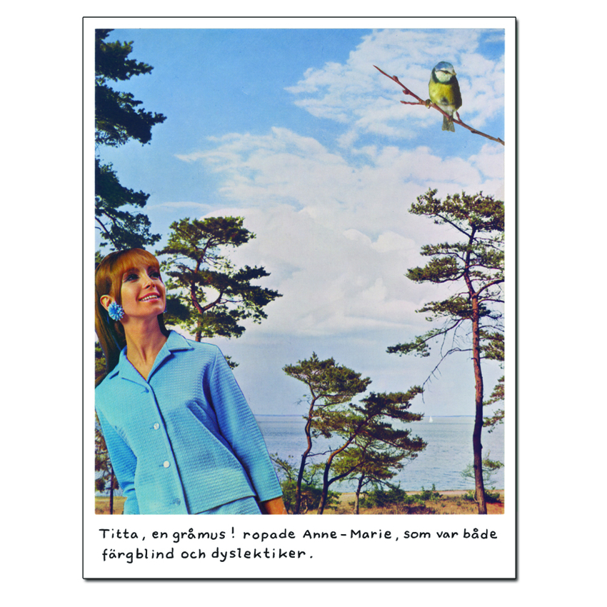 Magnet - Jan Stenmark 'Gråmus'