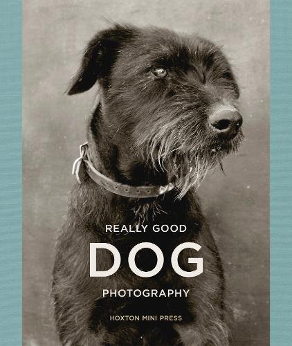 Really Good Dog PhotographyReally Good Dog Photography