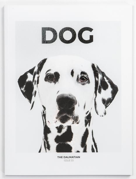 Dog, Issue 3