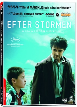 Efter stormen DVD