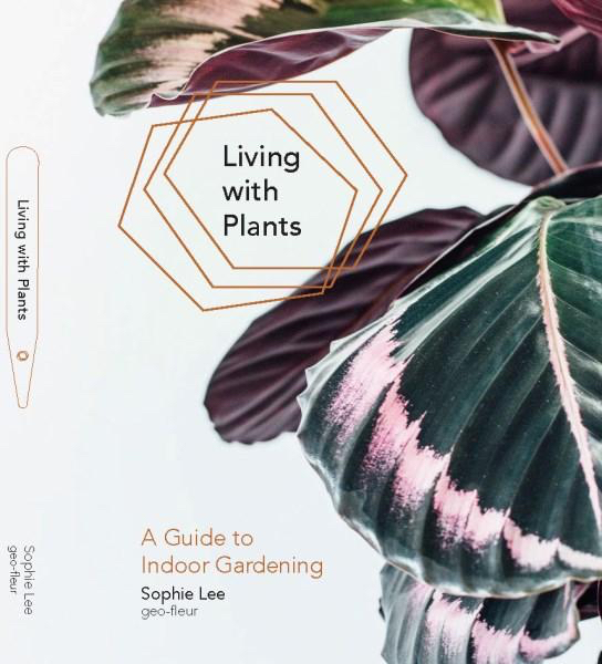 Living With Plants: A Guide To Indoor Gardening