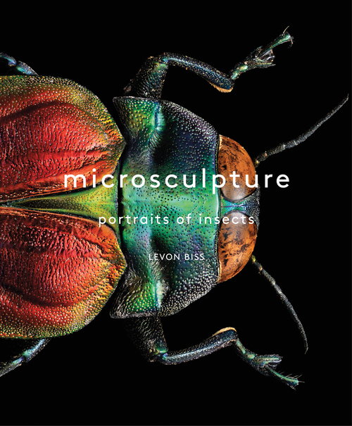 Microsculpture Portraits of Insects