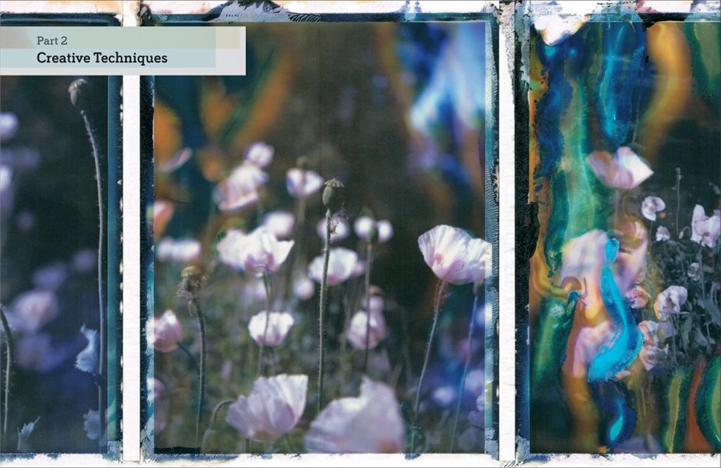 Polaroid: The Missing Manual