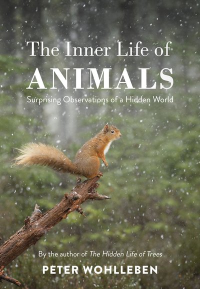 Inner Life of Animals