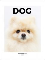Dog, Issue 4