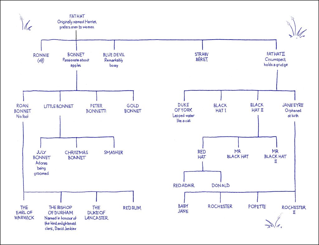 The Secret Life of Cows