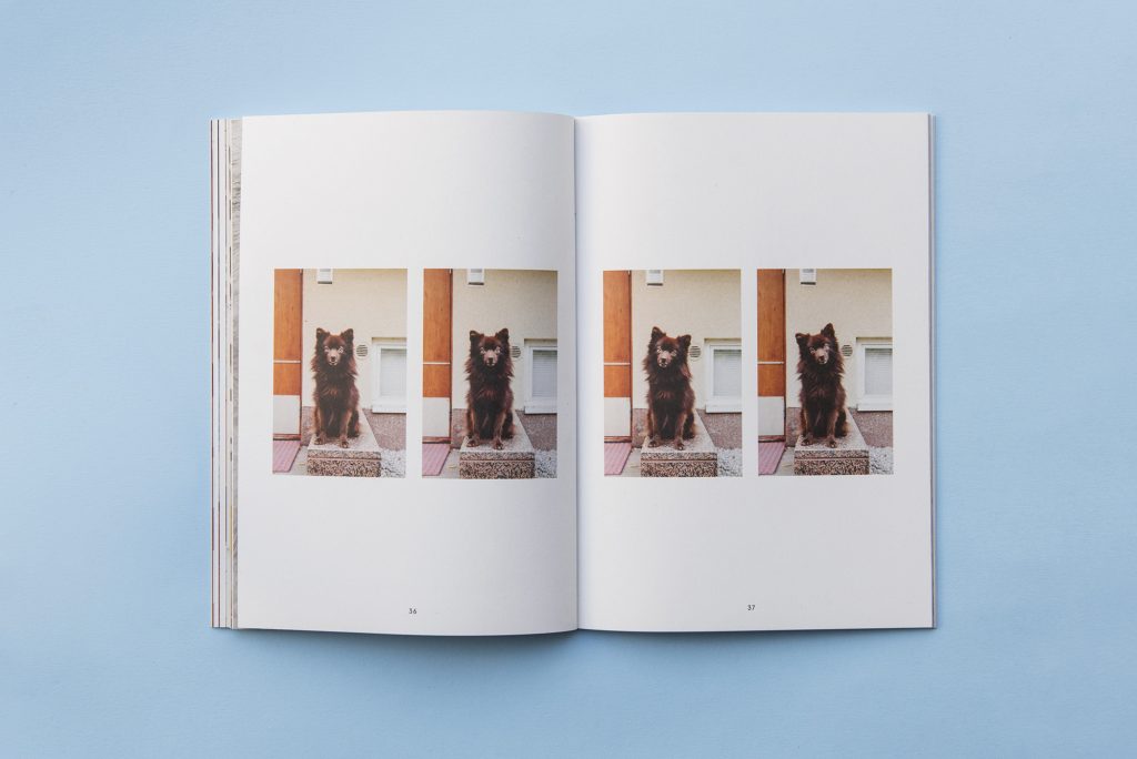 Pet People Magazine, Issue 4 – Helsinki