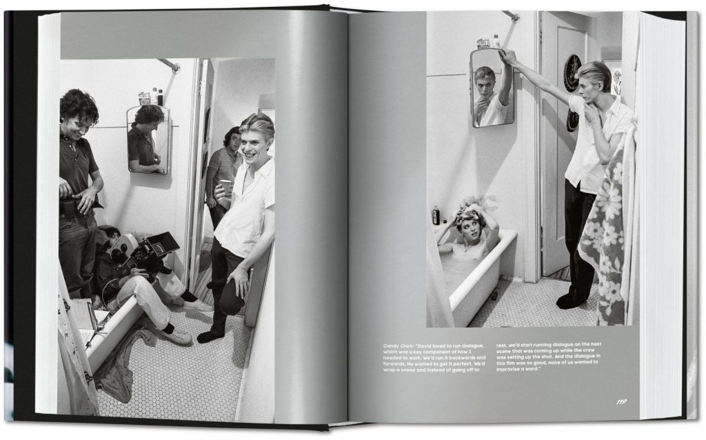 David Bowie: The Man Who Fell to Earth