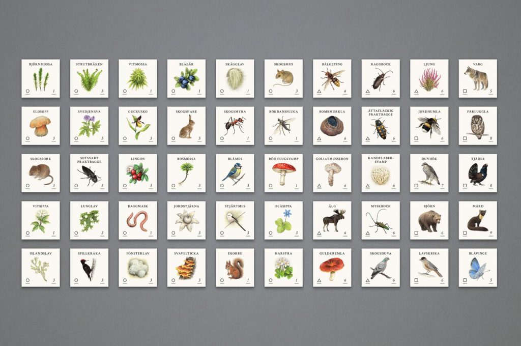 Skogen – Spelet där du fyller skogen med liv