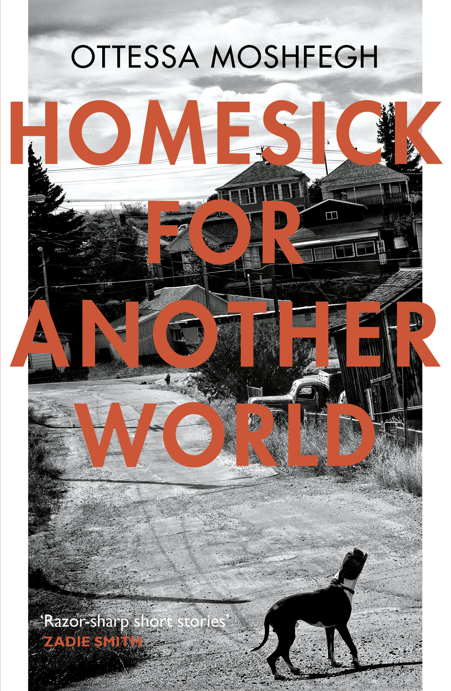 Homesick For Another World Ottessa Moshfegh