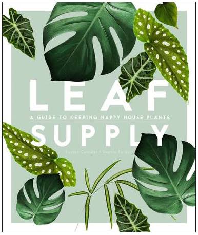 Leaf Supply: A Guide to Keeping Happy House Plants