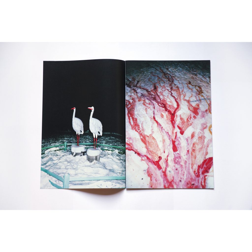 Frozen Sarah Michelle Riisager