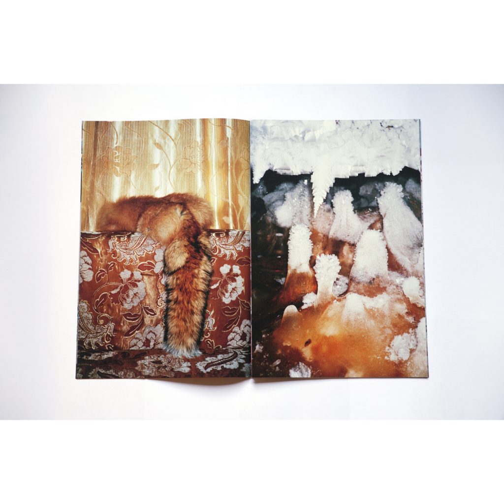 Frozen Sarah Michelle Riisager