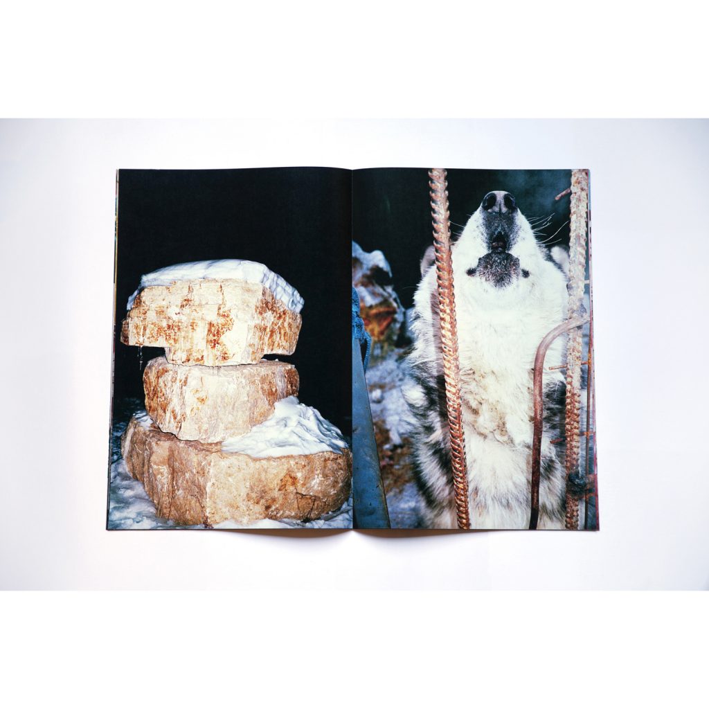 Frozen Sarah Michelle Riisager