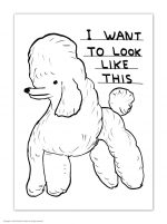 David Shrigley Want To Look Like This Postcard