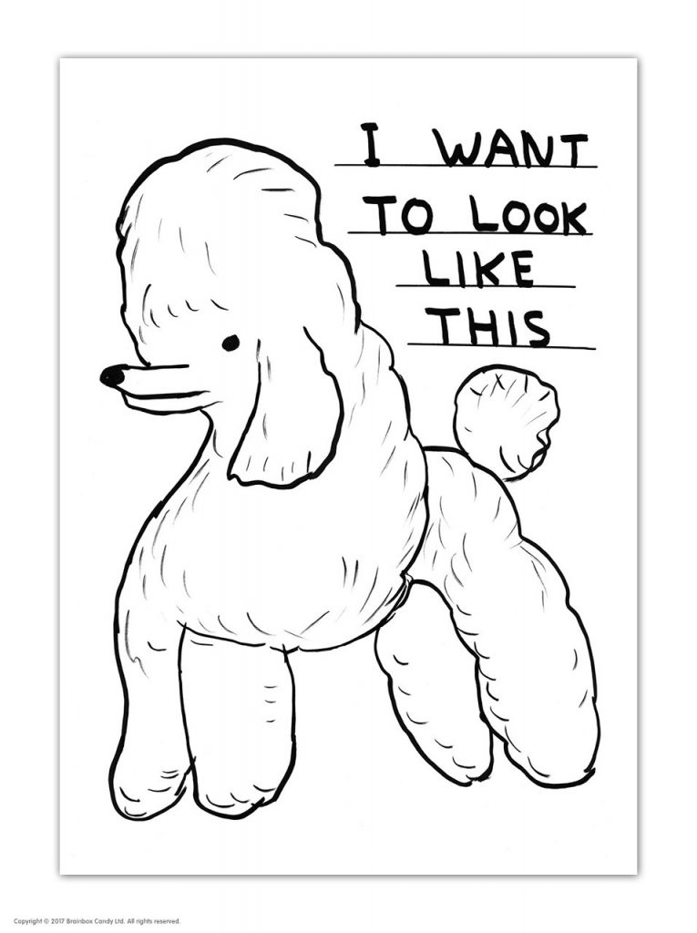 David Shrigley Postcard – Want To Look Like This