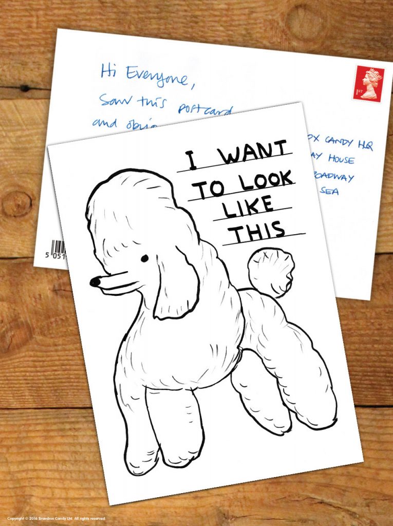 David Shrigley Want To Look Like This Postcard