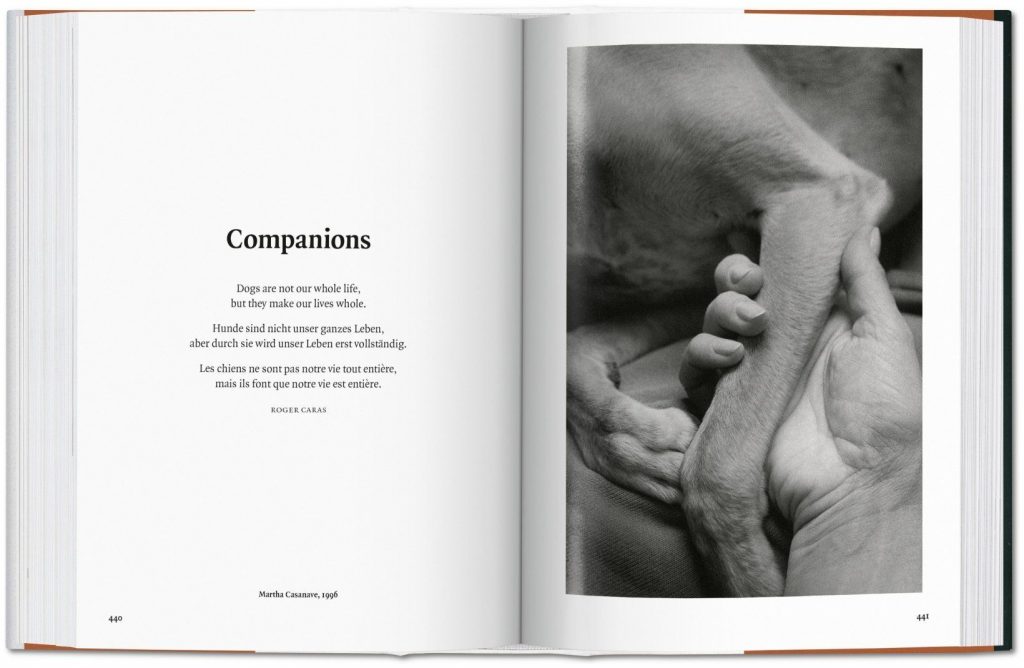 The Dog in Photography: 1839-Today