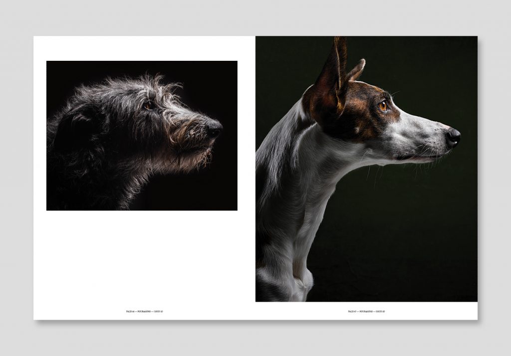 Four & Sons, Issue 10