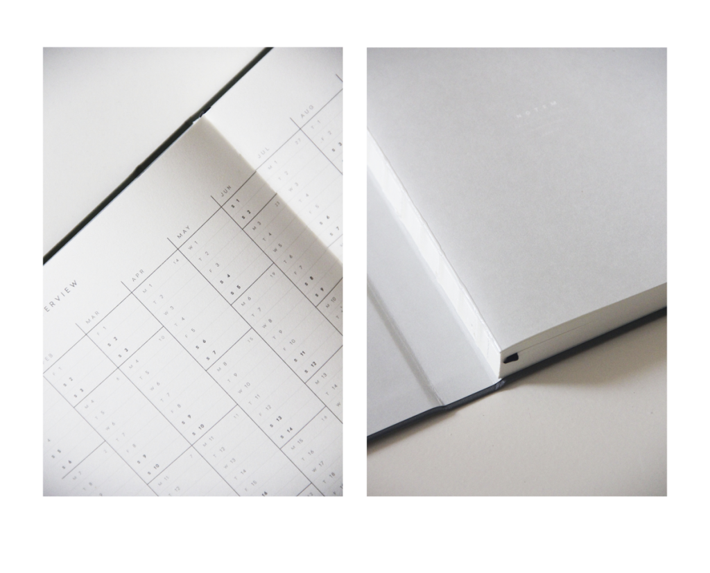 Renaissance, Issue 5