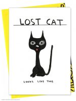 David Shrigley Lost Cat Card