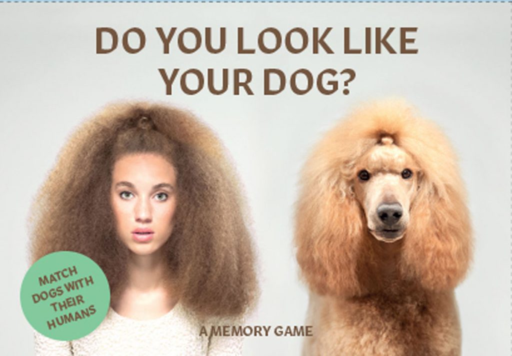 Do You Look Like Your Dog? Match Dogs with Their Humans: A Memor