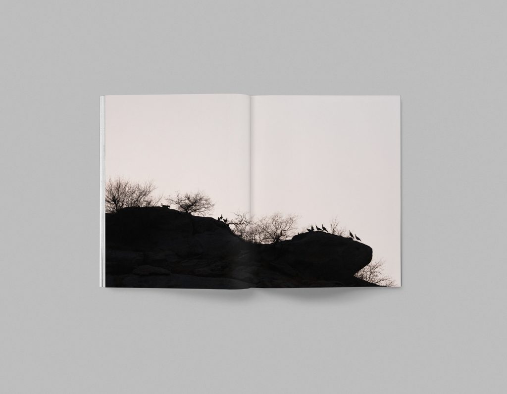 Faune, Volume 01