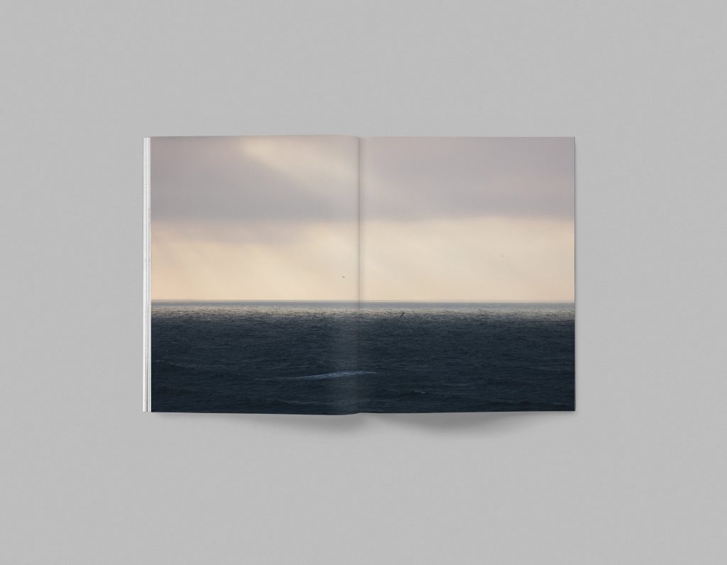 Faune, Volume 01
