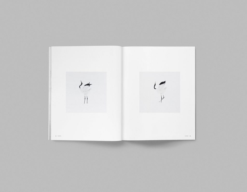 Faune, Volume 01