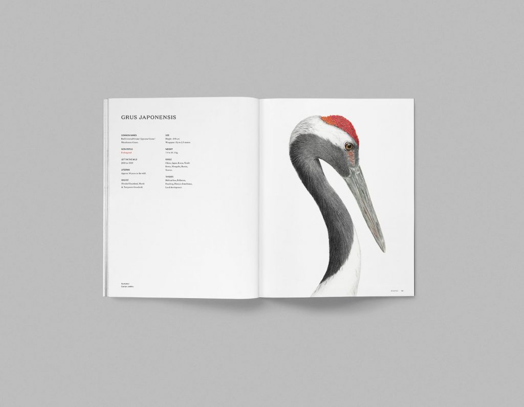 Faune, Volume 01