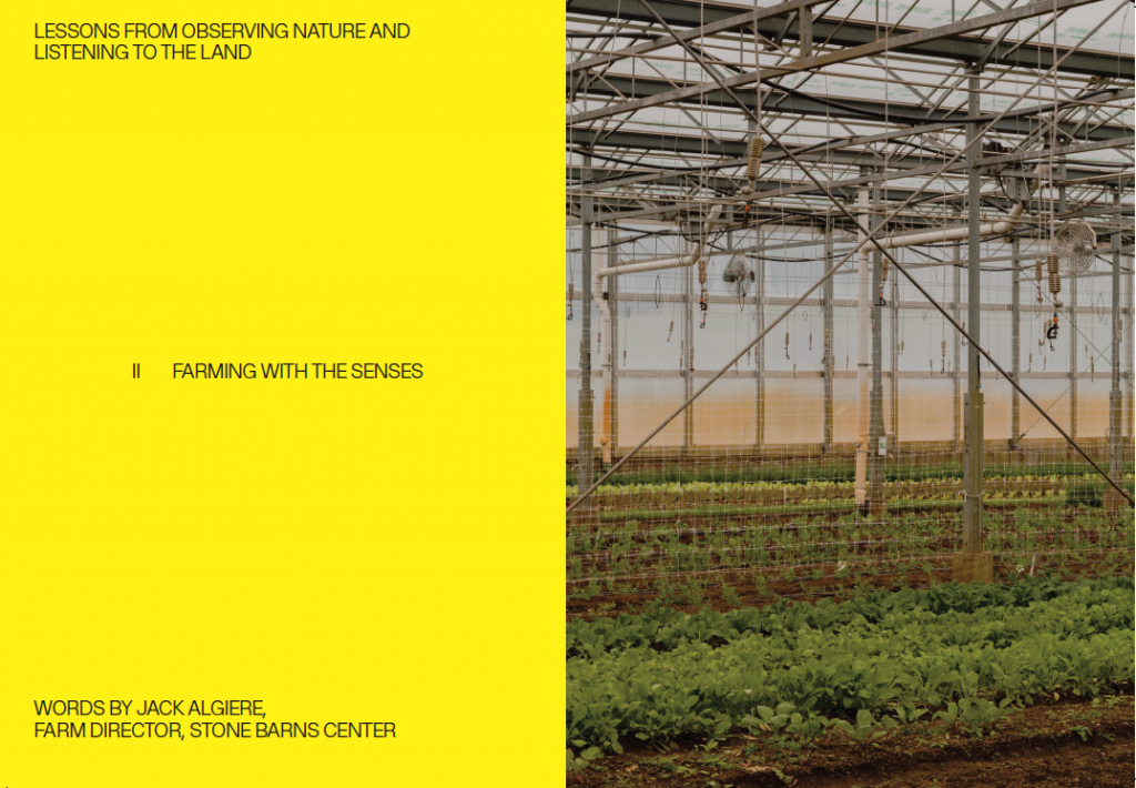 Mold, Issue 04 – Designing for the Senses