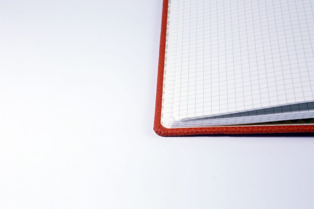 Dingbats* A5+ Wildlife Orange Tiger Notebook Plain