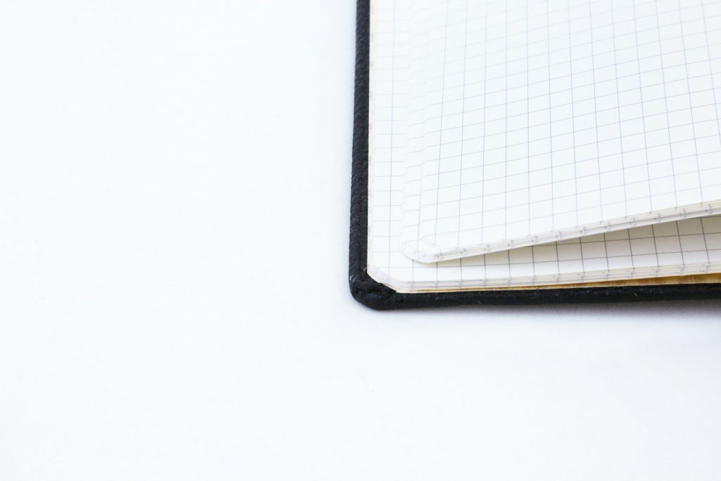 Dingbats* A5+ Wildlife Black Duck Notebook Plain