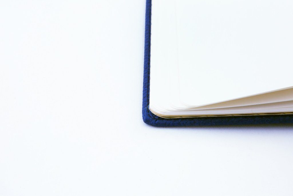 Dingbats* A5+ Wildlife Blue Whale Notebook Plain