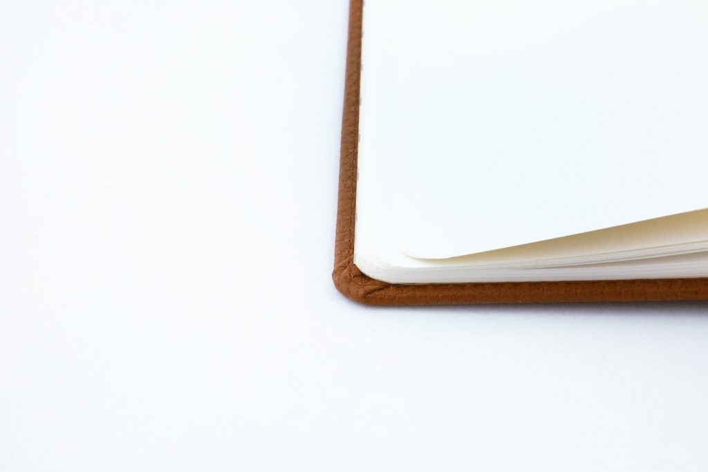 Dingbats* A5+ Wildlife Brown Bear Notebook Lined