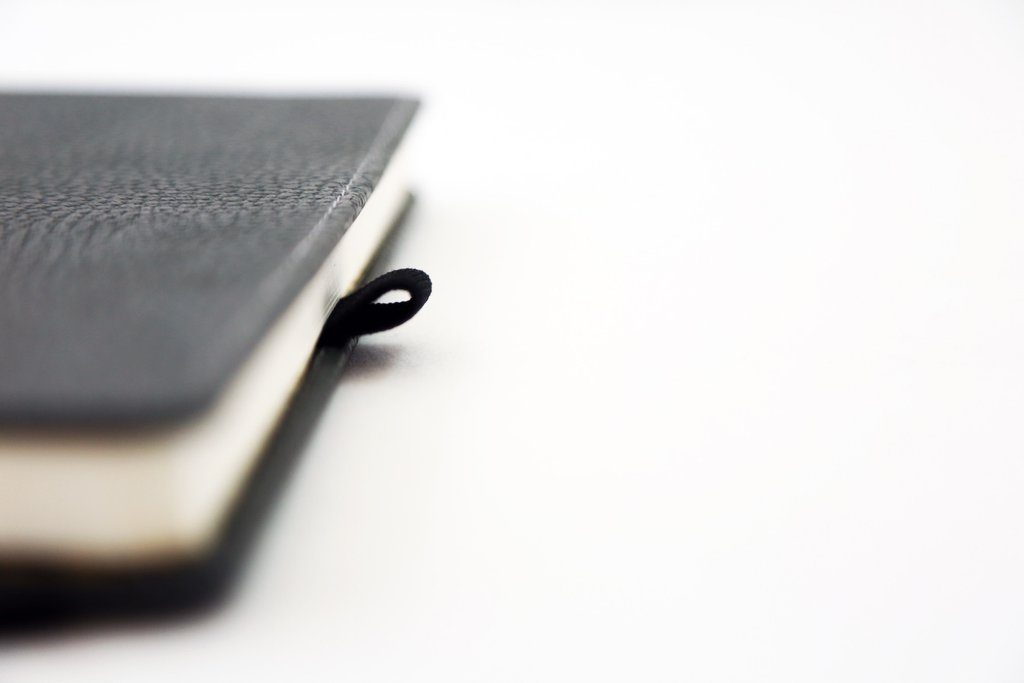 Dingbats* A5+ Wildlife Grey Elephant Notebook Dotted