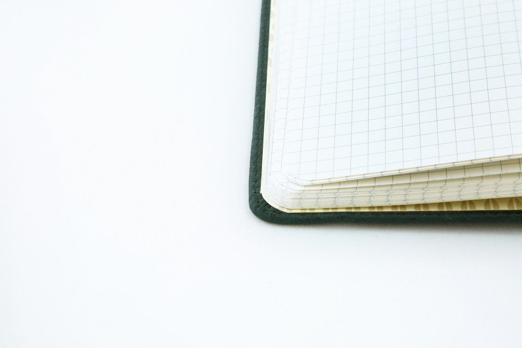 Dingbats* A5+ Wildlife Green Deer Notebook Plain