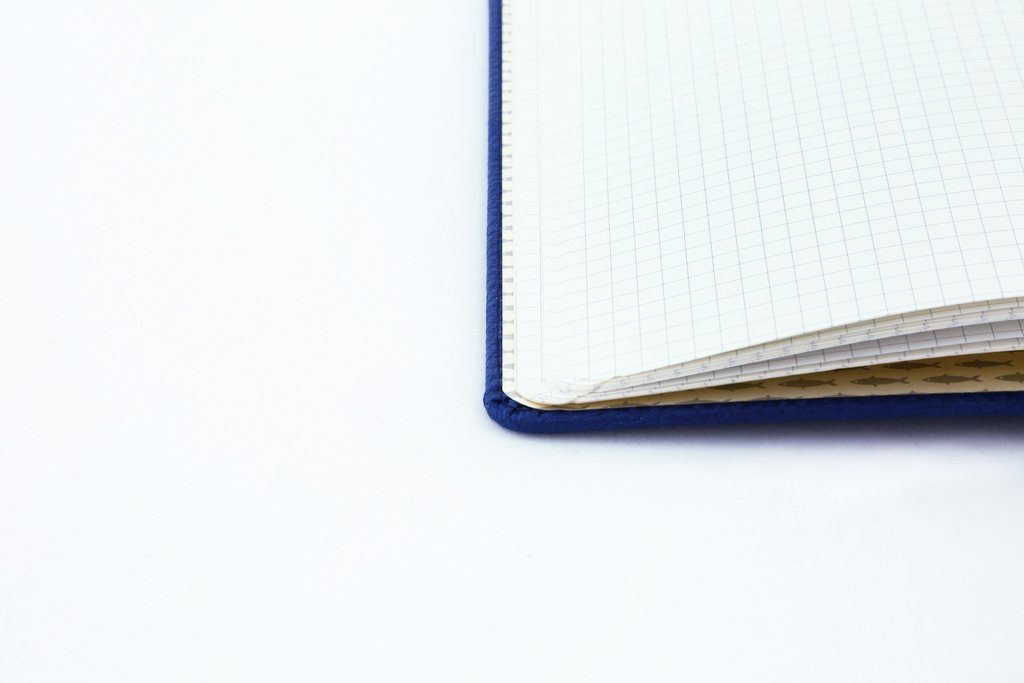 Dingbats* A5+ Wildlife Blue Whale Notebook Plain